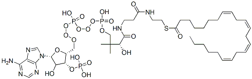 S-[2-[3-[[(2R)-4-[[[(2R,3R,5R)-5-(6-aminopurin-9-yl)-4-hydroxy-3-phosphonooxyoxolan-2-yl]methoxy-hydroxyphosphoryl]oxy-hydroxyphosphoryl]oxy-2-hydroxy-3,3-dimethylbutanoyl]amino]propanoylamino]ethyl] (8Z,11Z,14Z,17Z)-tricosa-8,11,14,17-tetraenethioate Struktur