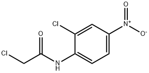 2-Chloro-N-(2-chloro-4-nitro-phenyl)-acetamide Struktur