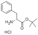 H-D-PHE-OTBU塩酸塩