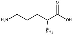 D-ornithine Struktur