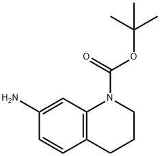 tert-butyl 7-amino-3,4-dihydroquinoline-1(2H)-carboxylate Struktur