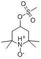 2,2,6,6-TETRAMETHYL-4-(METHYLSULFONYLOXY)-1-PIPERIDINOOXY Struktur