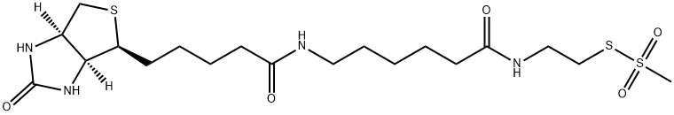 N-Biotinylcaproylaminoethyl Methanethiosulfonate Struktur