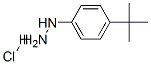 4-tert-Butylphenylhydrazine hydrochloride