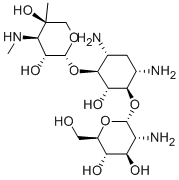 gentamicin X2 Struktur