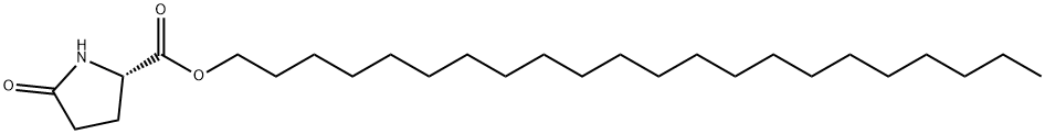 docosyl 5-oxo-L-prolinate Struktur