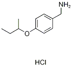 4-(SEC-BUTOXY)PHENYL]METHANAMINE HYDROCHLORIDE Struktur