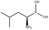 (R)-1-aMino-3-Methylbutylboronic acid Struktur