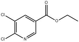 5,6-DICHLORONICOTINIC ACID ETHYL ESTER