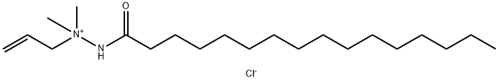 1-allyl-1,1-dimethyl-2-palmitoylhydrazinium chloride Struktur