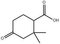 2,2-DIMETHYL-4-OXOCYCLOHEXANECARBOXYLIC ACID Struktur