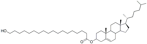 40445-72-5 結(jié)構(gòu)式