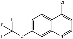 4-CHLORO-7-TRIFLUORO METHOXYQUINOLINE Struktur