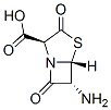 4-Thia-1-azabicyclo[3.2.0]heptane-2-carboxylicacid,6-amino-3,7-dioxo-,(2S,5R,6R)-(9CI) Struktur