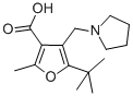 5-TERT-BUTYL-2-METHYL-4-PYRROLIDIN-1-YLMETHYL-FURAN-3-CARBOXYLIC ACID Struktur