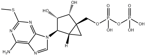 MRS 2365 Struktur