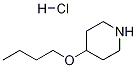 4-BUTOXYPIPERIDINE HYDROCHLORIDE Struktur