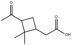 PINONIC ACID Struktur