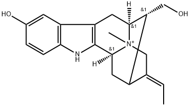 spegatrine Struktur