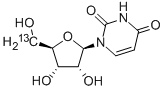 [5'-13C]URIDINE Struktur