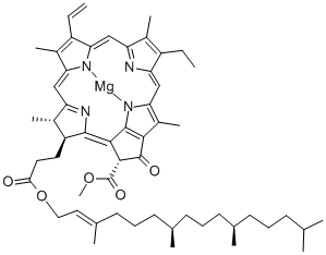 Chlorophyll A