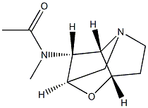 N-ACETYLLOLINE Struktur