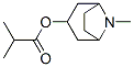 Tropine isobutyrate Struktur