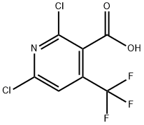 503437-19-2 結構式