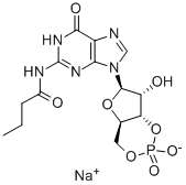 N2-MONOBUTYRYLGUANOSINE 3':5'-CYCLIC MONOPHOSPHATE SODIUM SALT Structure