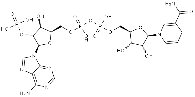 Dihydronicotinamid-adenin-dinucleotid-phosphat