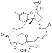 53126-63-9 結(jié)構(gòu)式