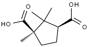 DL-CAMPHORIC ACID Struktur