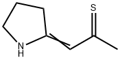 1-(Pyrrolidin-2-ylidene)-2-propanethione Struktur