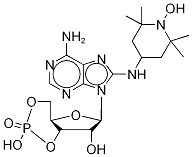 8-TEMPO-aminoadenosine Cyclic 3’5’Monophosphate Struktur