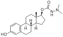 STS 456 Struktur