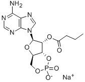 55443-13-5 結(jié)構(gòu)式