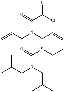 Sutan E Struktur