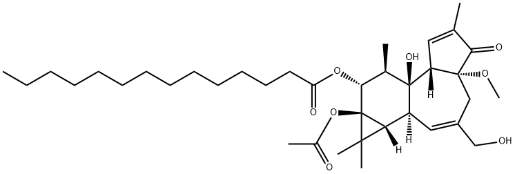 PHORBOL 12-MYRISTATE 13-ACETATE 4-O-METHYL ETHER, 4BETA Struktur