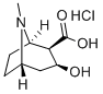 ECGONIN HCL Struktur