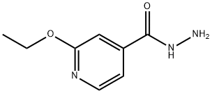 4-Pyridinecarboxylicacid,2-ethoxy-,hydrazide(9CI) Struktur