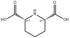 CIS-2,6-PIPERIDINE DICARBOXYLIC ACID Struktur