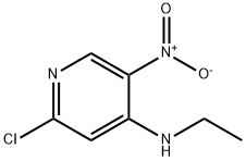 (2-CHLORO-5-NITRO-PYRIDIN-4-YL)-ETHYL-AMINE