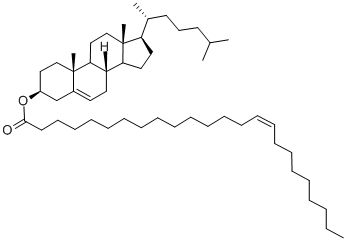 CHOLESTERYL NERVONATE Struktur