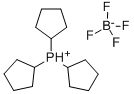 TRICYCLOPENTYLPHOSPHINE TETRAFLUOROBORA& Struktur