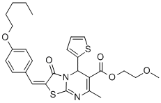 SALOR-INT L426245-1EA Struktur