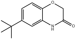 6-(TERT-BUTYL)-2H-1,4-BENZOXAZIN-3(4H)-ONE price.