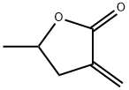 5-methyl-3-methylidene-oxolan-2-one Struktur