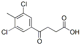 3-(3,5-Dichloro-4-methylbenzoyl)propionic acid Struktur