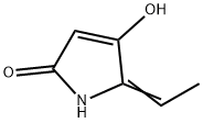 2H-Pyrrol-2-one,5-ethylidene-1,5-dihydro-4-hydroxy-(9CI) Struktur