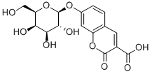 CUG Structure